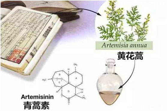 安博官方网站,安博anbo（中国）：向中医药看齐，与世界共享中医药文化(图1)